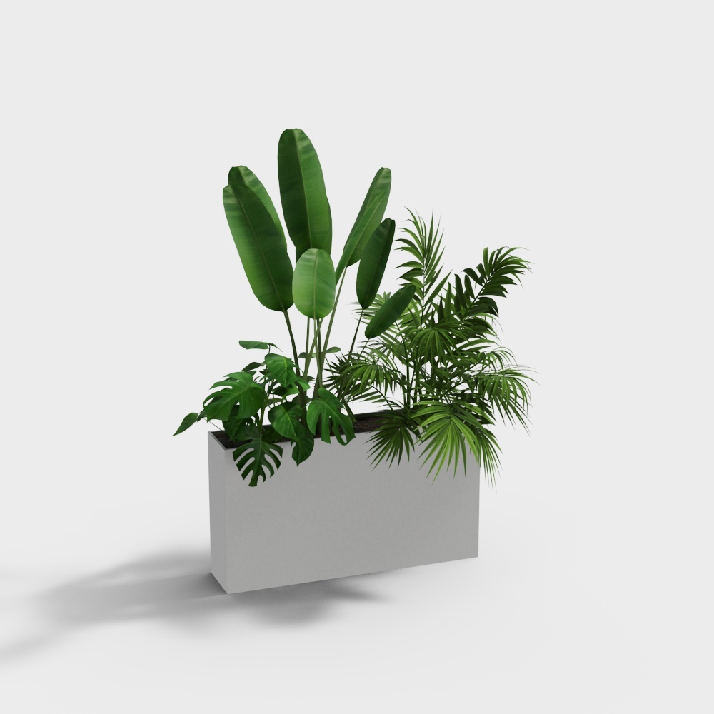 Modern bonsai bonsai