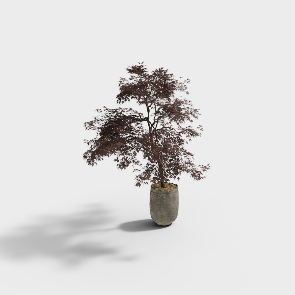 City Oasis Potted Plant 3D Model