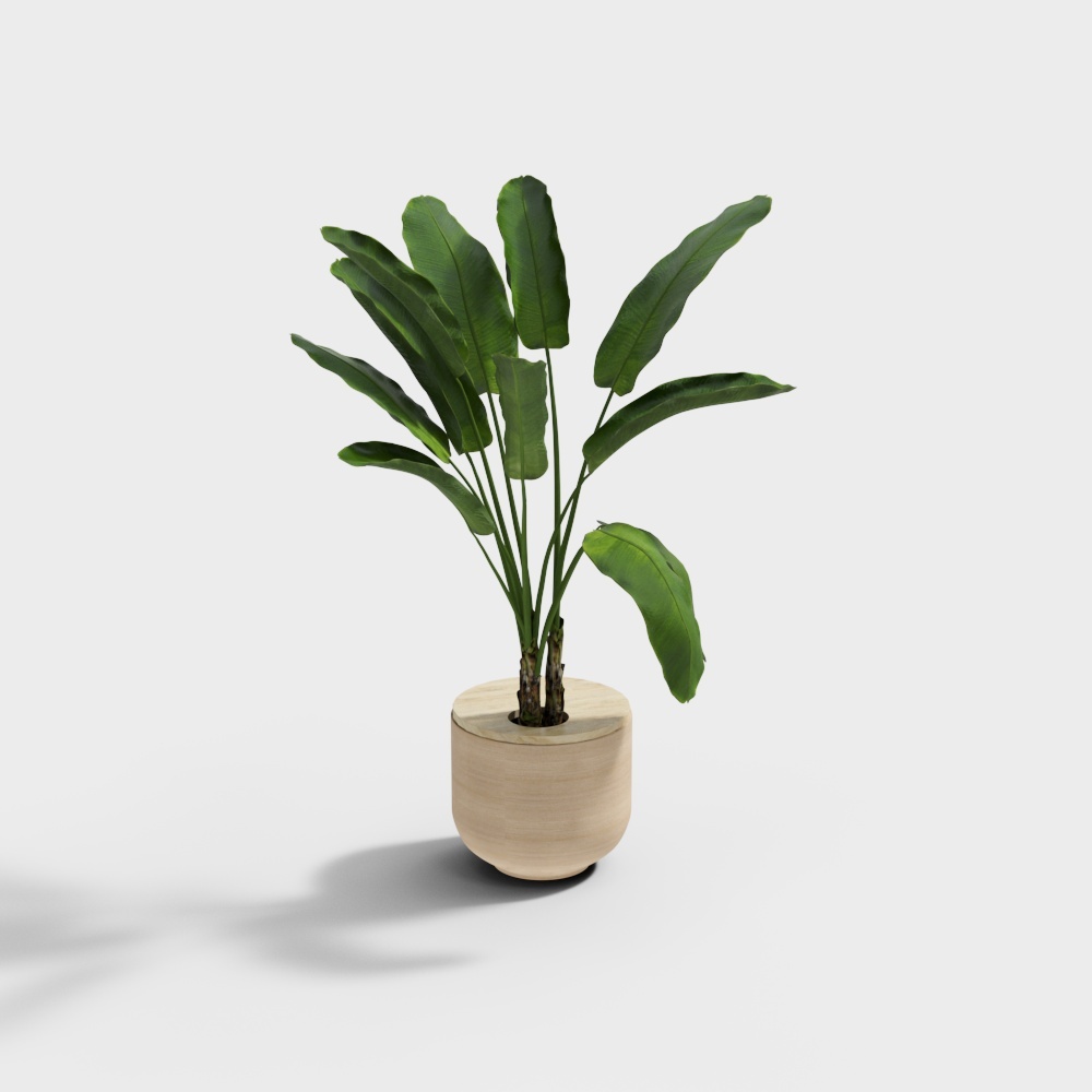 Tropical Plant 3D Model for Creative Projects