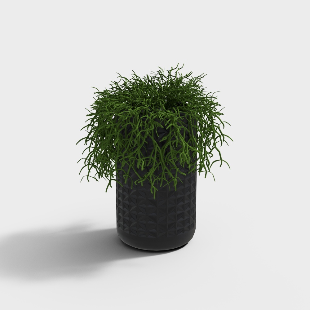 Chậu cây hiện đại