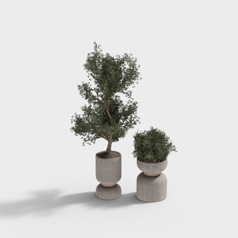 Plantes vertes modernes en pot