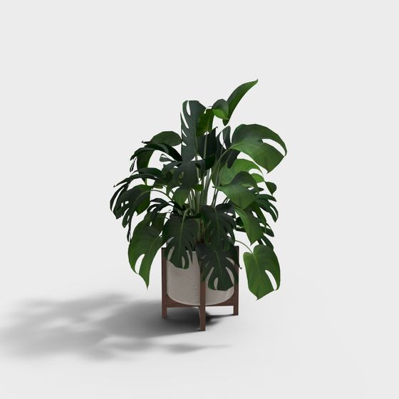 Monstera Plant Stand 3D model for Interior Designs