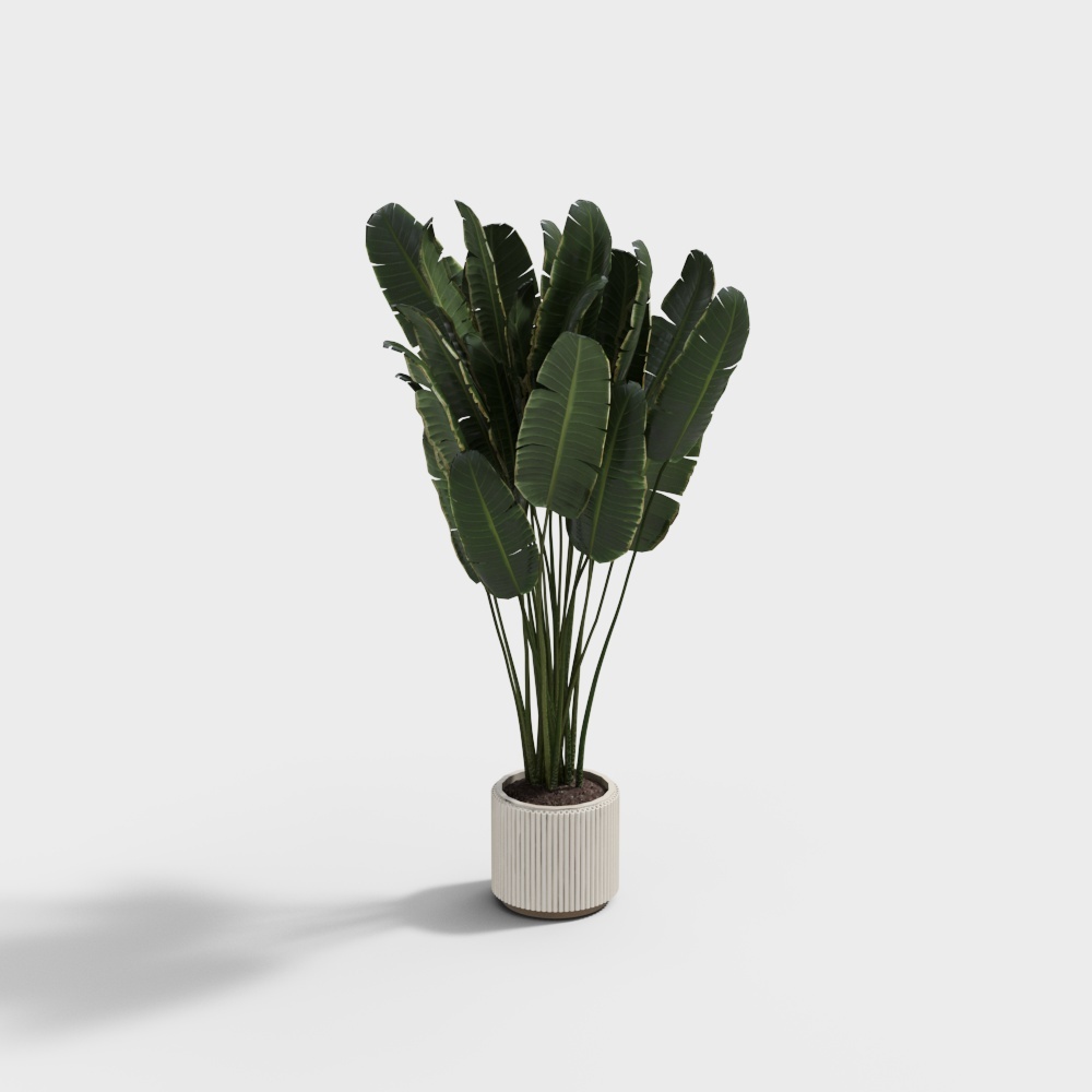 Tropical Plant 3D Model – Low-Poly Indoor Decor