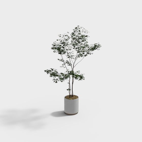 Lush Potted Plant 3D model