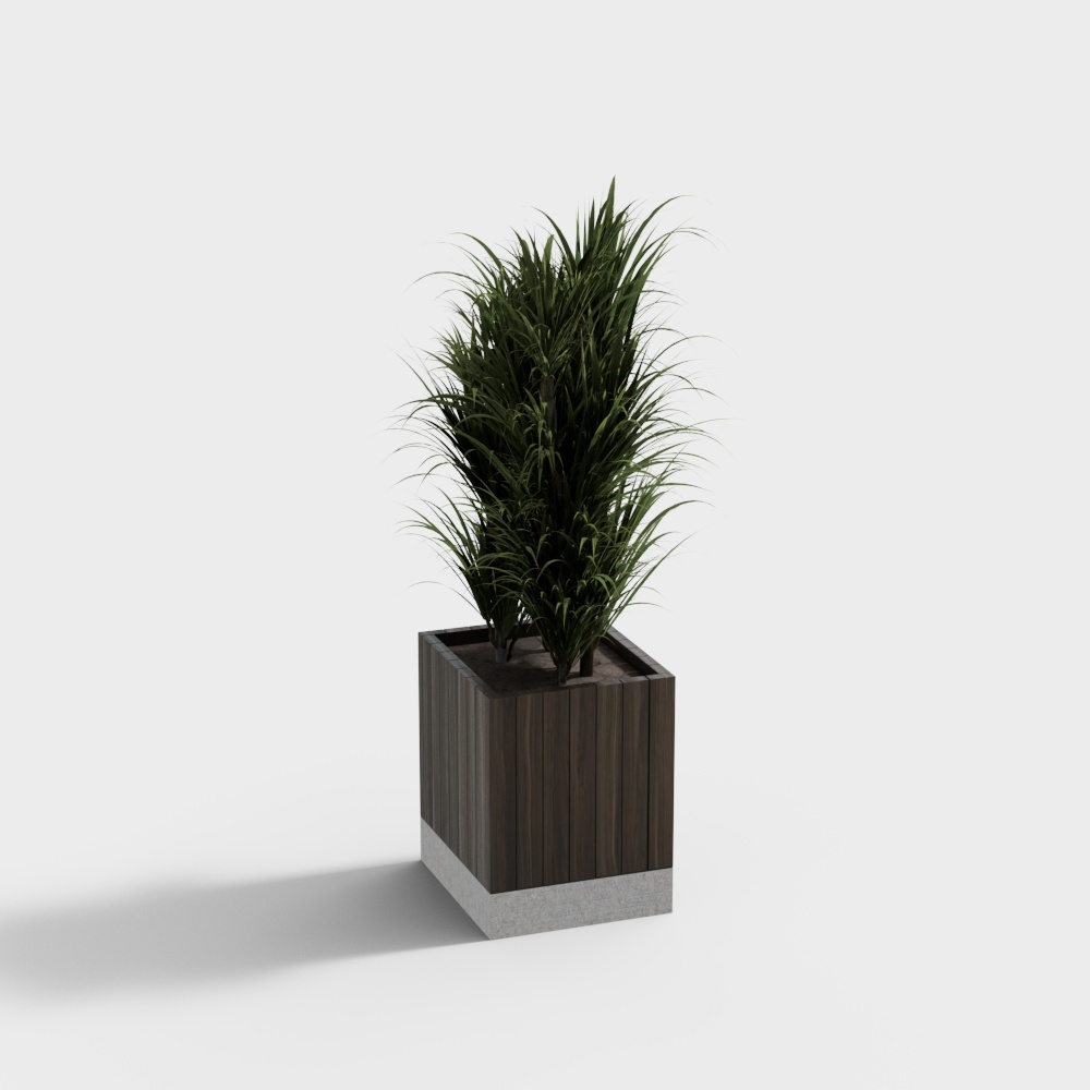 Piante in vaso moderne