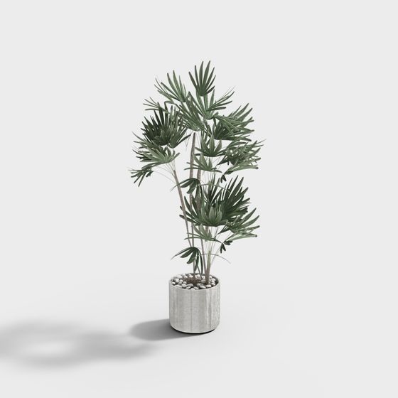 Tropical Potted Plant 3D Model