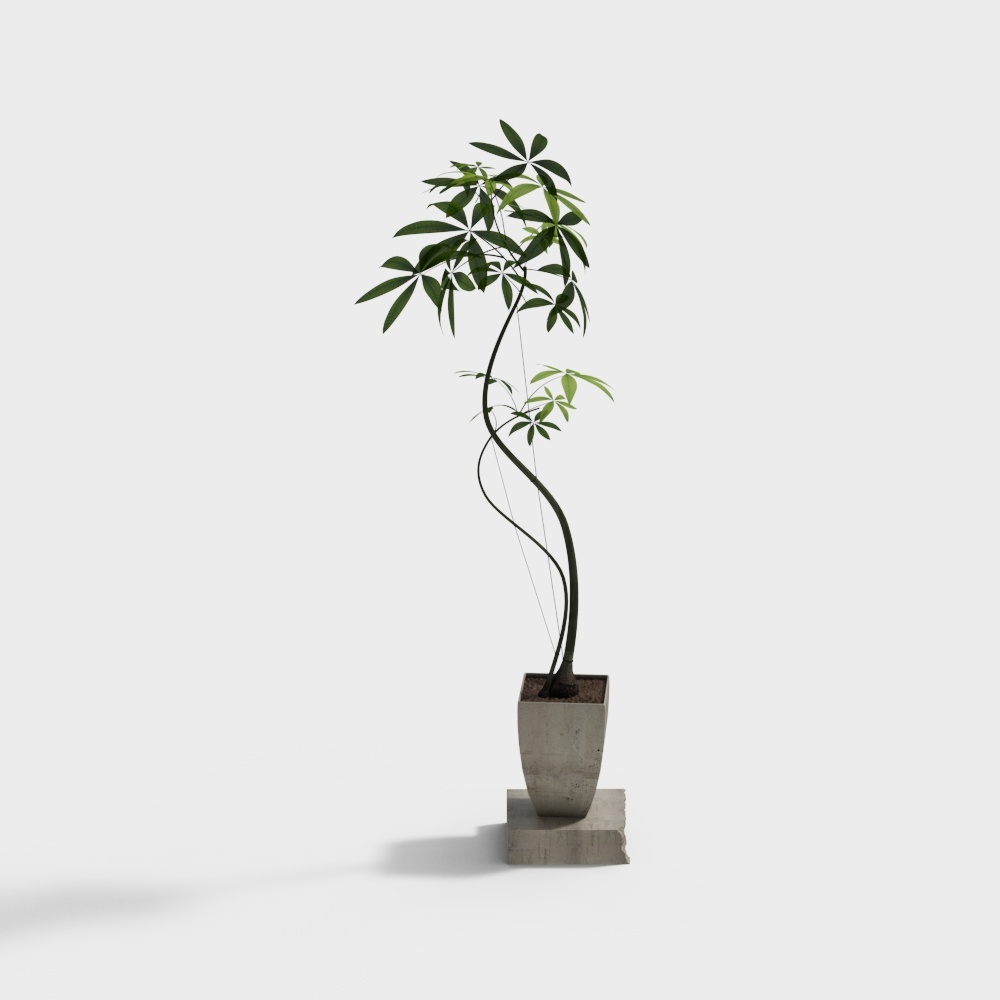 モダンプランツポット