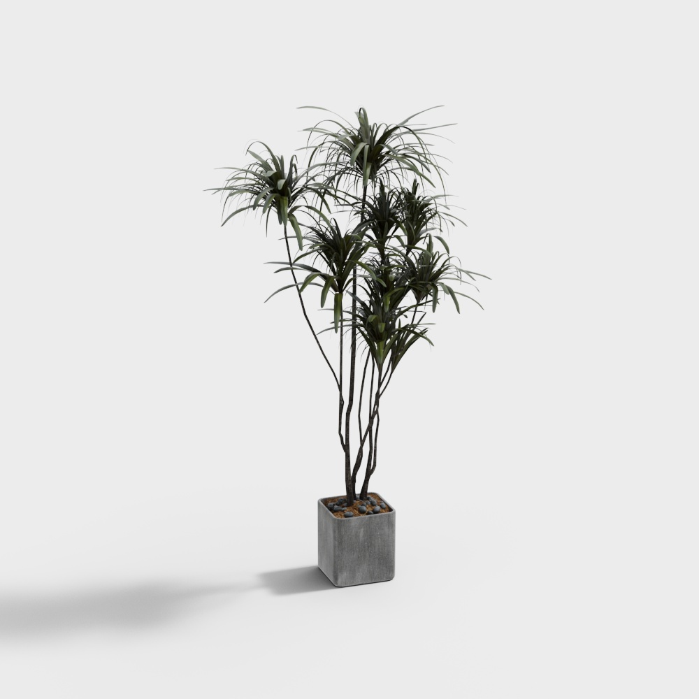 Realistic Indoor Plant 3D Model