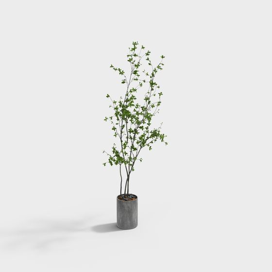 Urban Green Plant 3D Model for Creative Projects