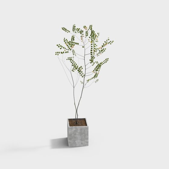 Urban Green Plant 3D model for Designers