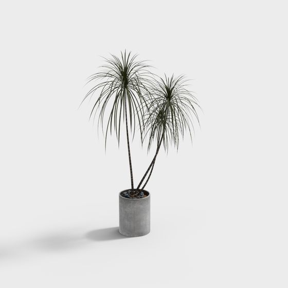 Urban Green Plant 3D model