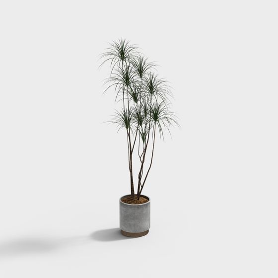 Vibrant Indoor Plant 3D Model