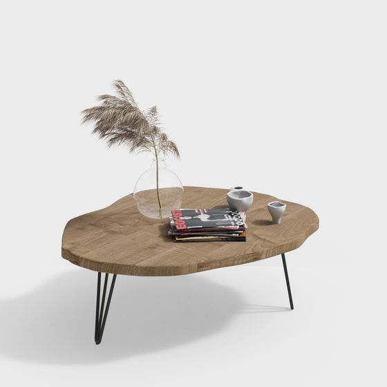 Natural Harmony Coffee Table 3D model