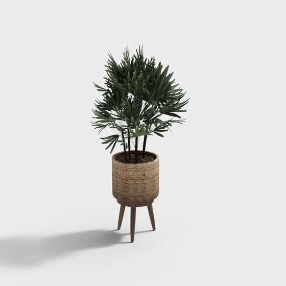 Charming Bamboo Palm Pot 3D model