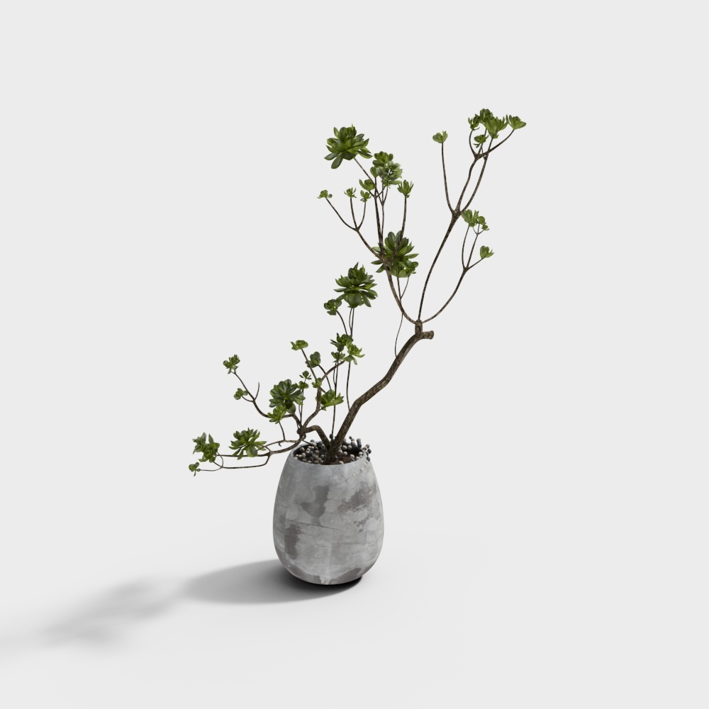 Vibrant Seedling in Concrete Vase 3D model