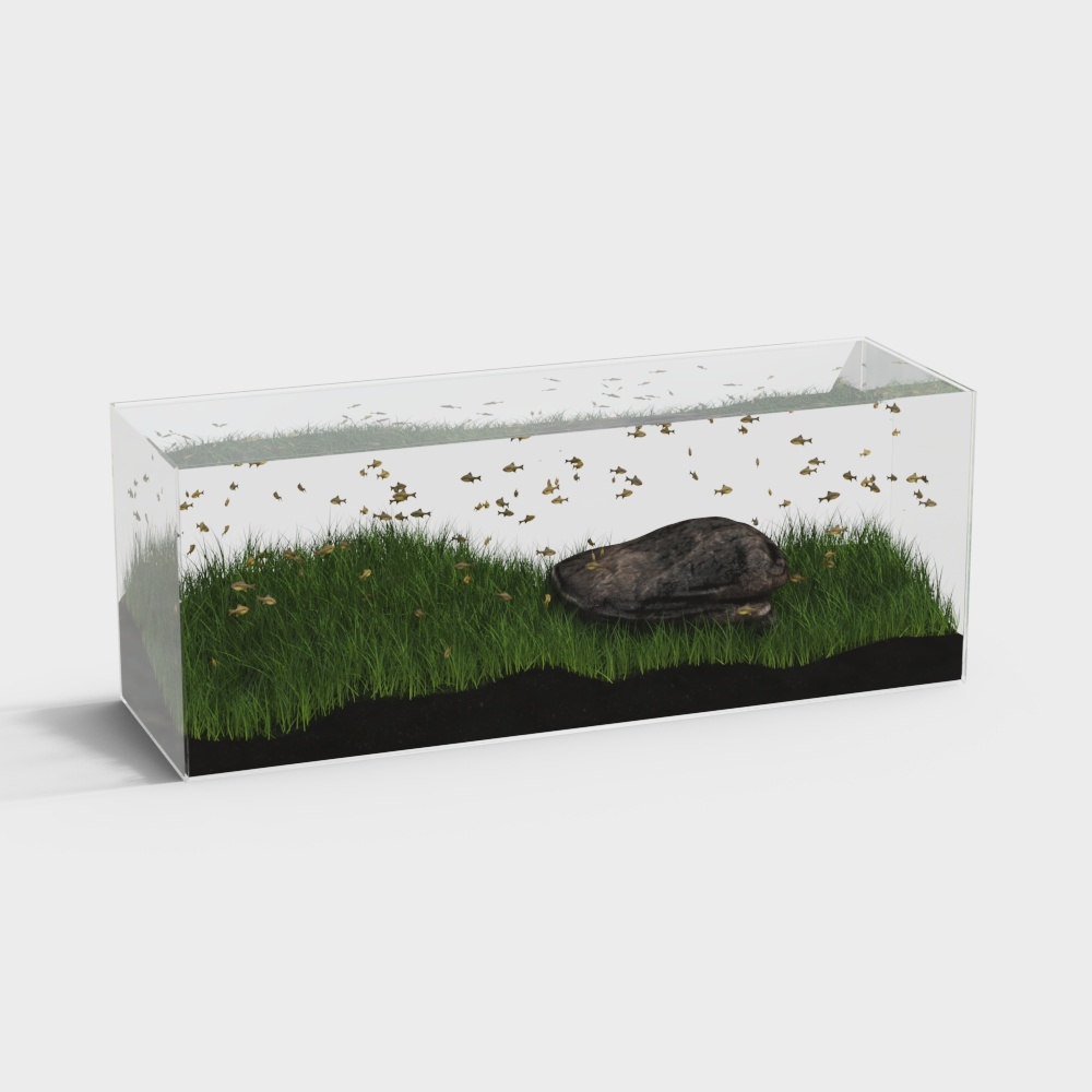 Modern Aquarium Aquarium 2