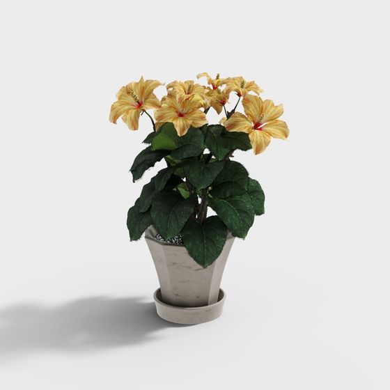 Tropical Potted Plant 3D Model