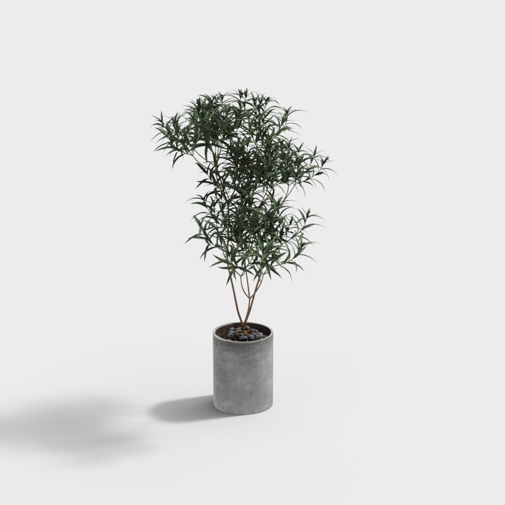 Urban Greenery 3D model for Interior Design