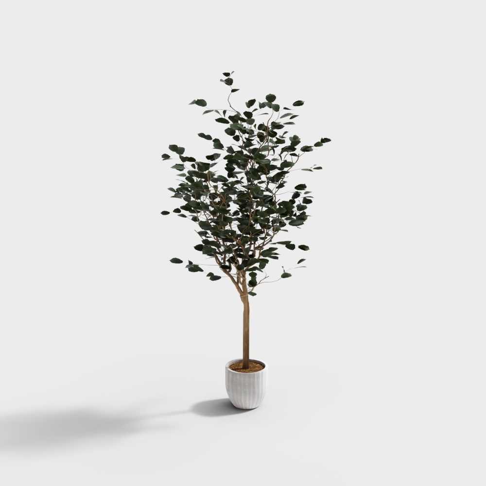 Vibrant Indoor Plant 3D Model – Low-Poly Greenery
