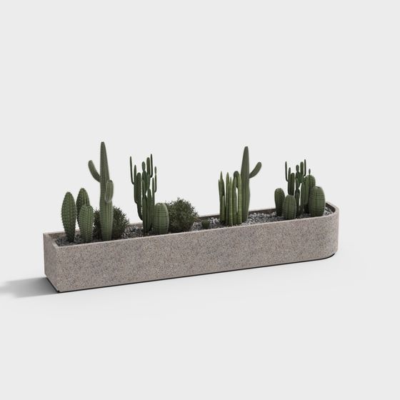Realistic Cactus Flower Bed 3D Model