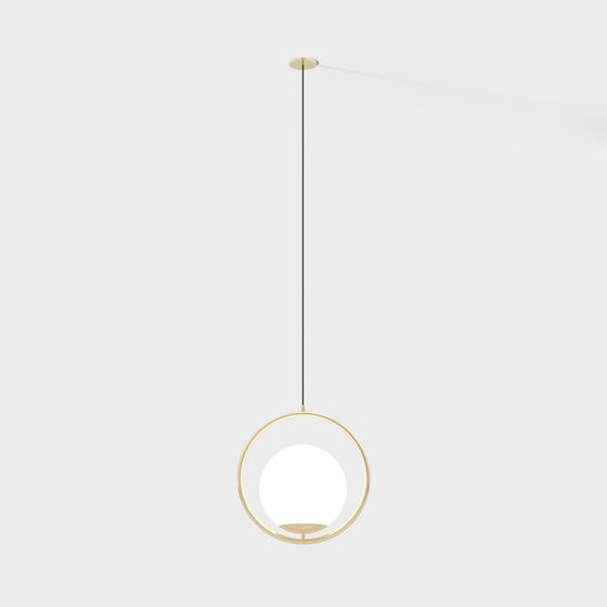 Elegant Ring Pendant Light 3D model