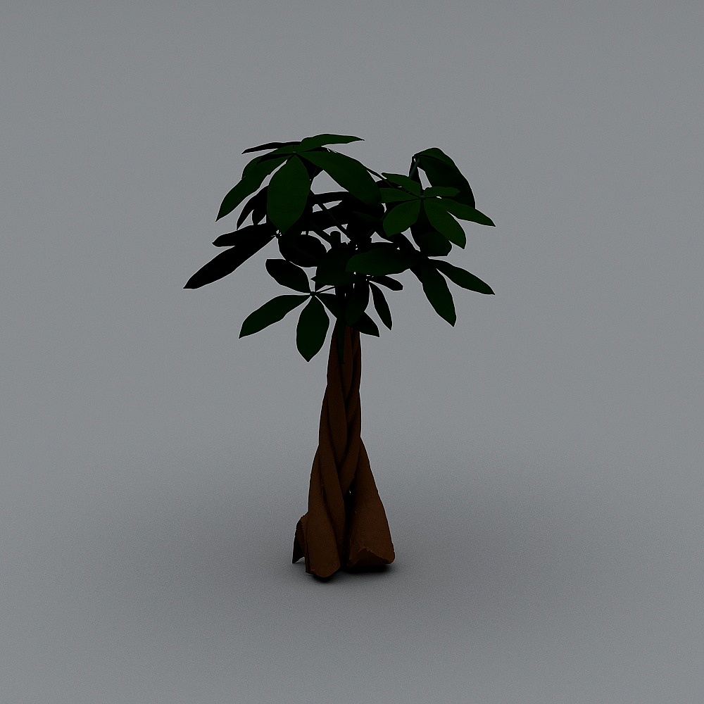 Small_Money_tree