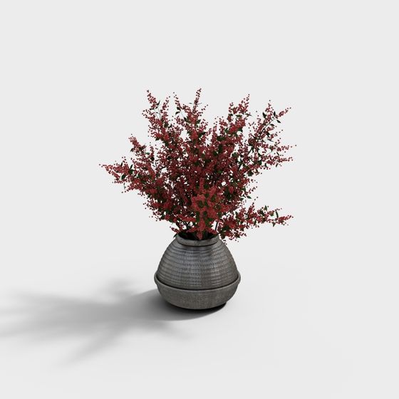 Winter Red Plum Blossom 3D model