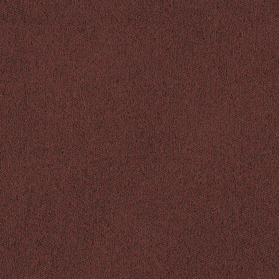 Plain Color Seamless Wallpaper 3D Model in Brown