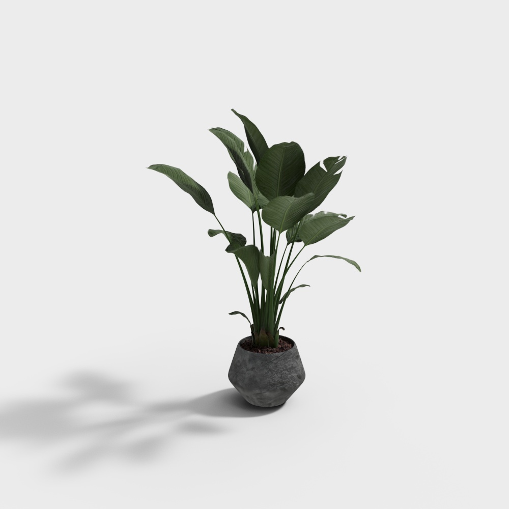 Vibrant Indoor Plant 3D Model – Low-Poly Greenery