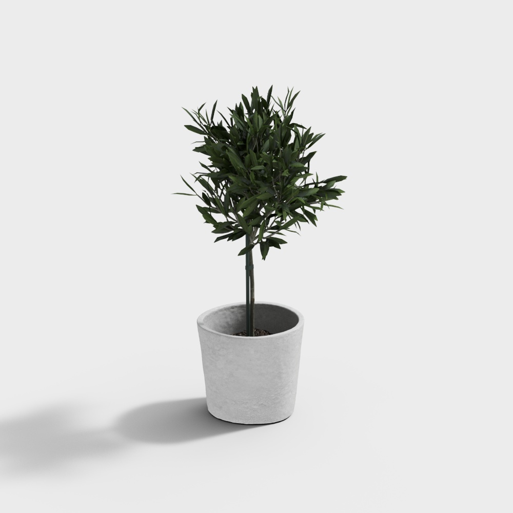 Vibrant Indoor Plant 3D Model for Creative Projects