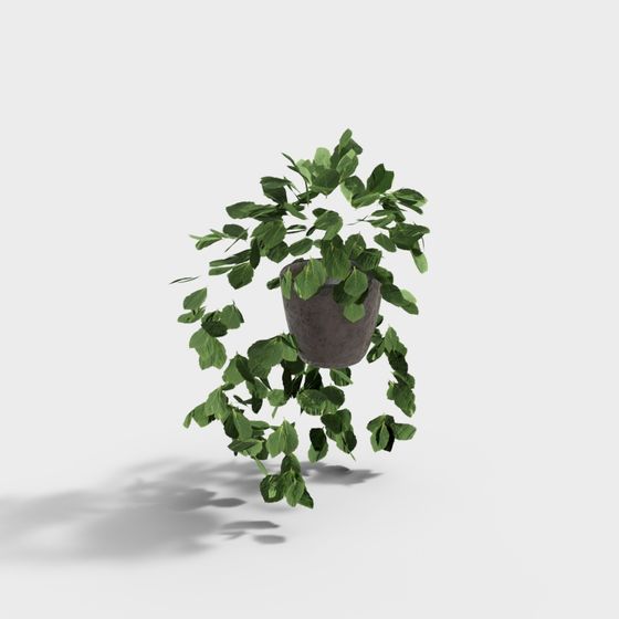Hanging Plants 3D Model for Creative Projects
