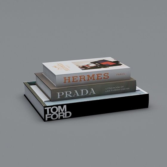 Stylish Fashion Books 3D model