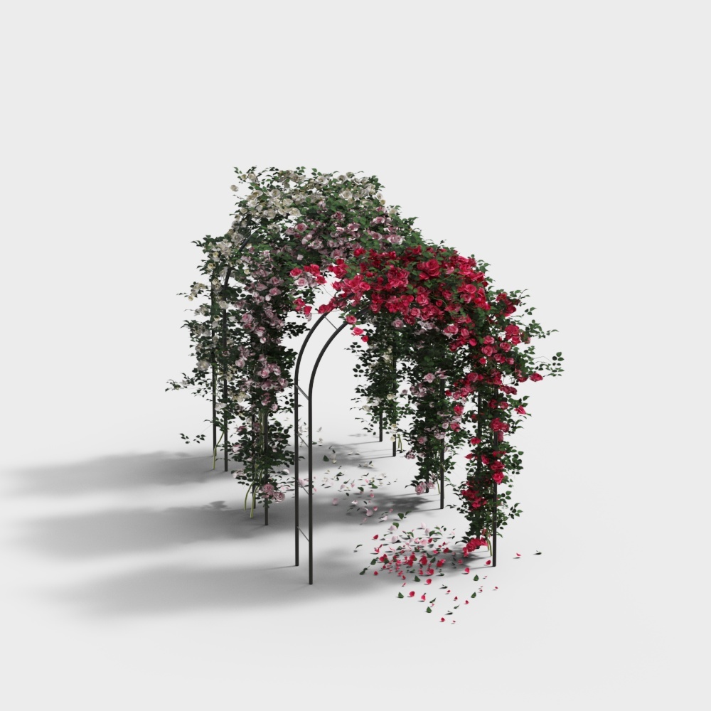 Modern gallery frame wedding