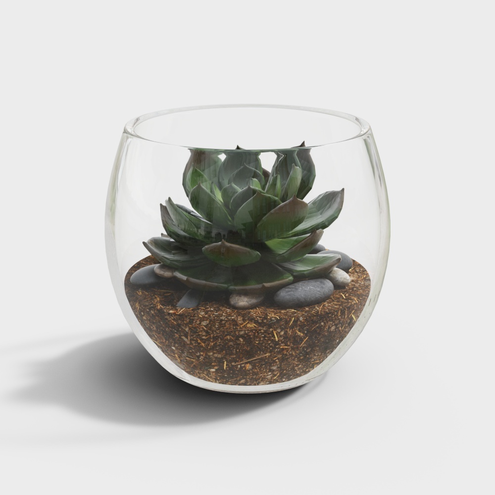 เซ็ตพืชในกระถาง