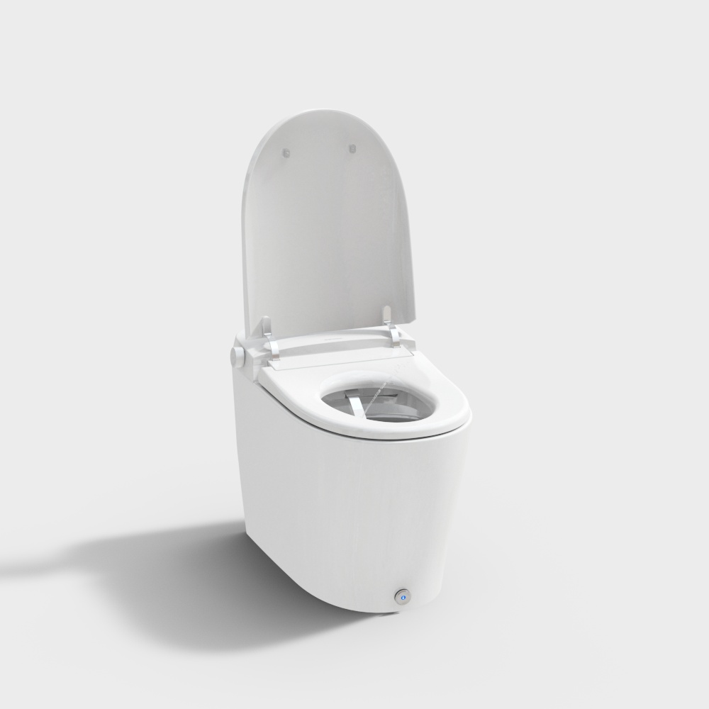 20220615 Xingyue toilet (water jet)