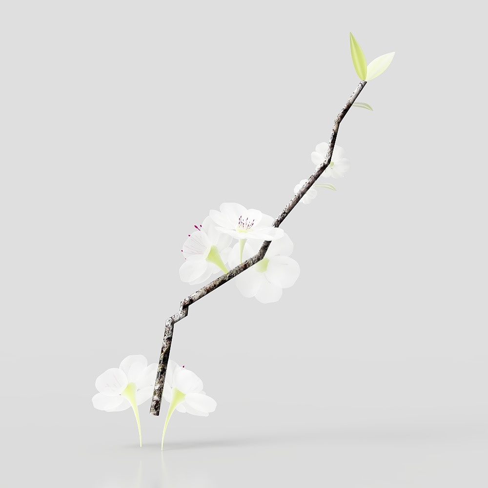 Vertuu Design Flower (5)