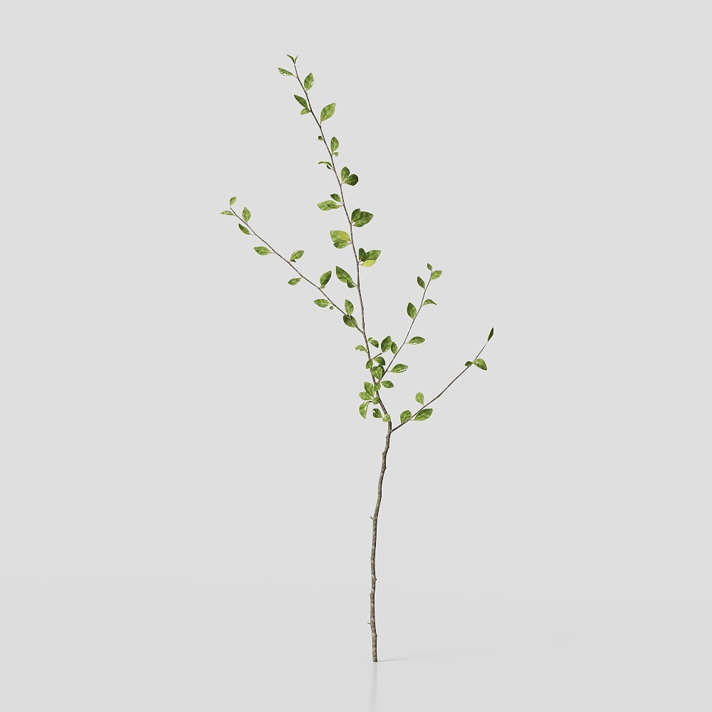 Vertuu Design Flower (7)