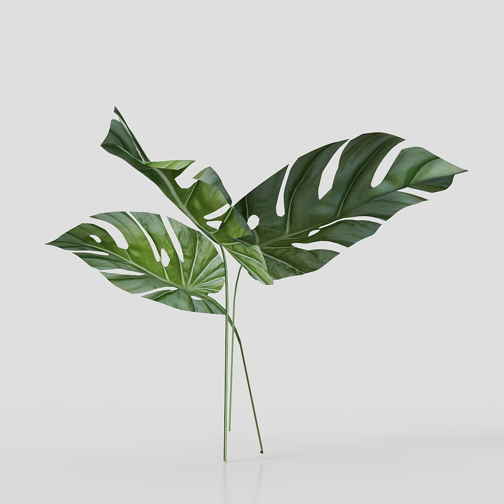 Vertuu Design Flower (6)