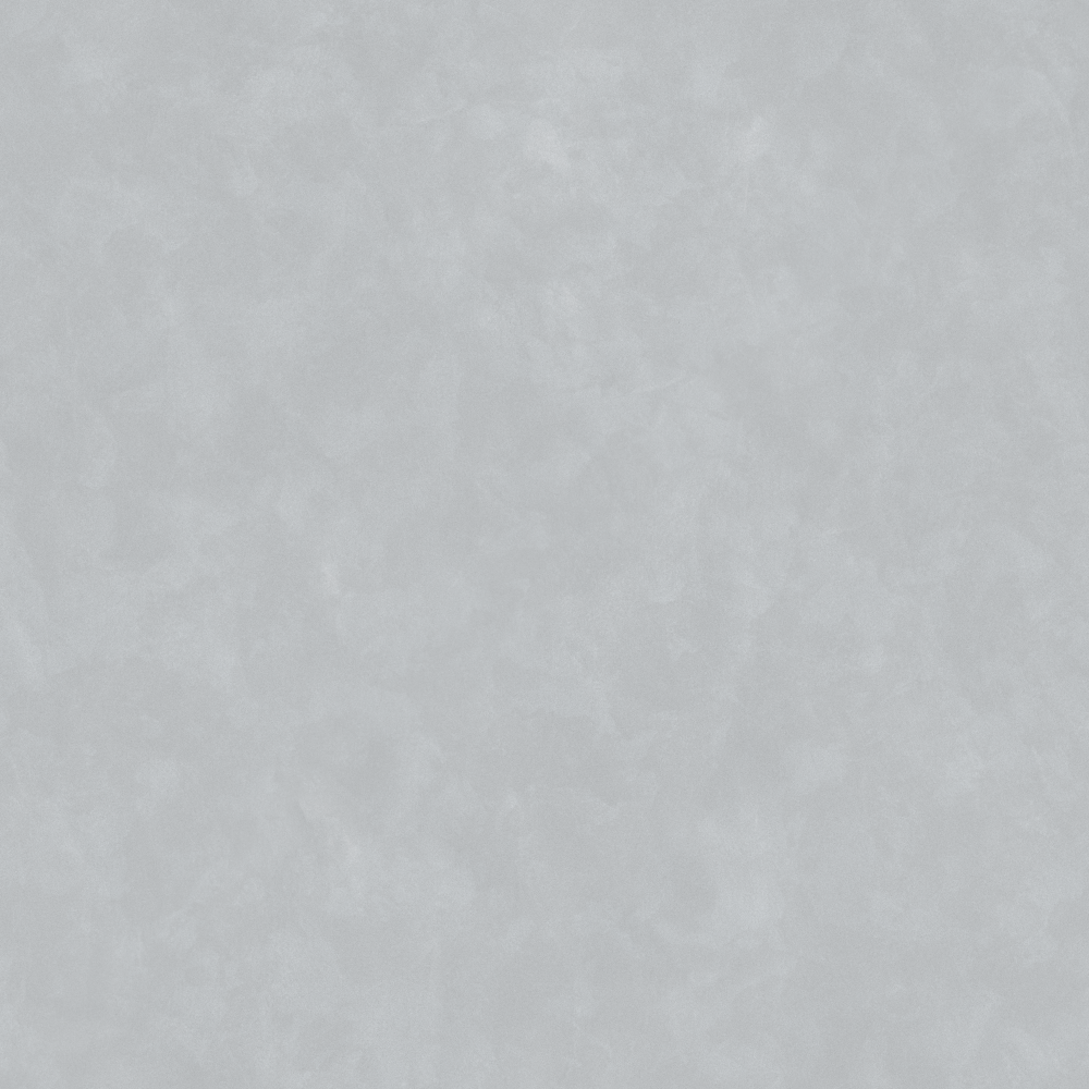 (Velvet Batch Coating) RHN-O010 Lake Light in Snow