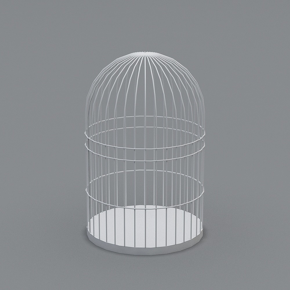 Minimalist Artistic Birdcage 3D model