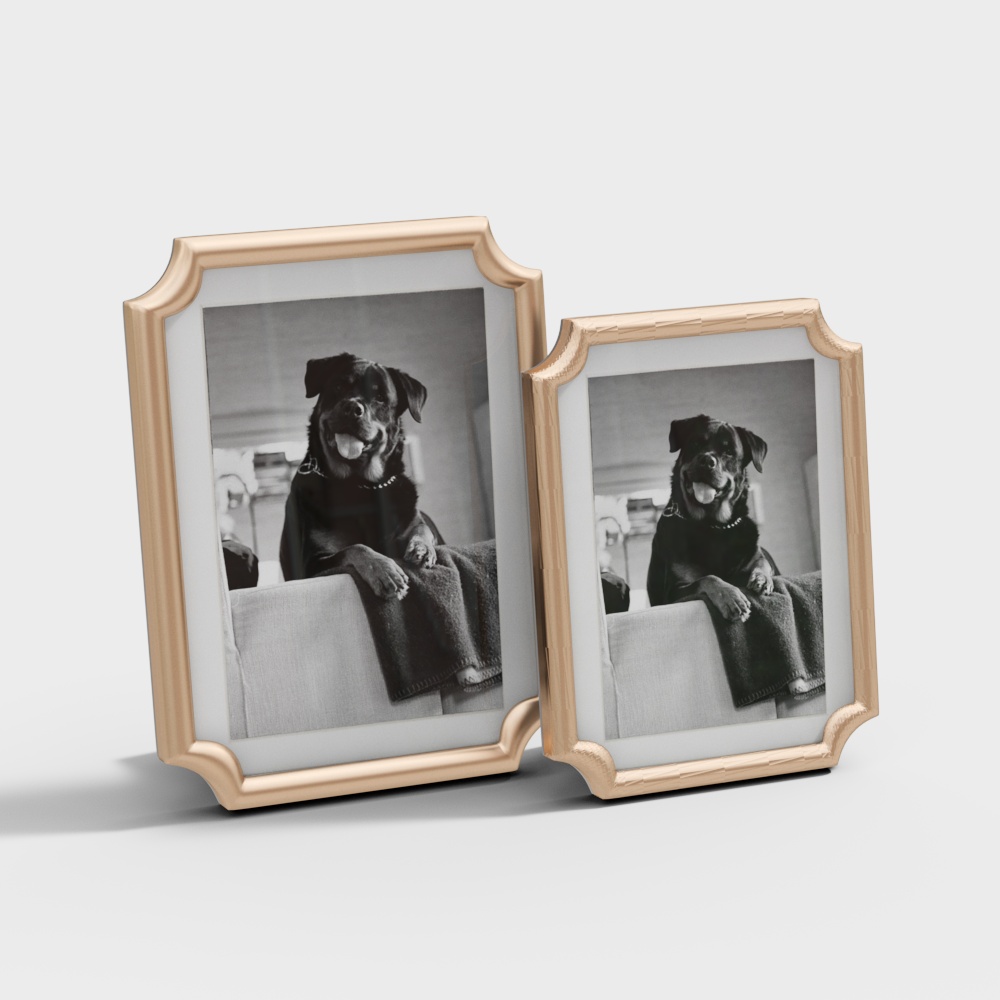 Vintage Frame 3D Model for Modern Design