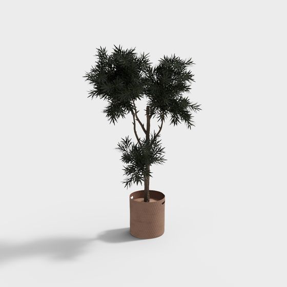 Bamboo Leaf Potted Plant 3D model
