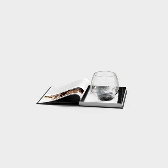 Stylish Magazine and Wine Glass 3D model