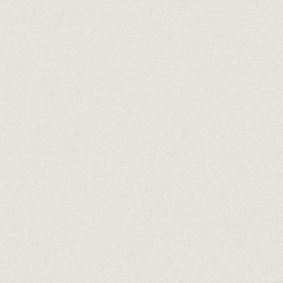 Wall Paint 3D Model in Gray