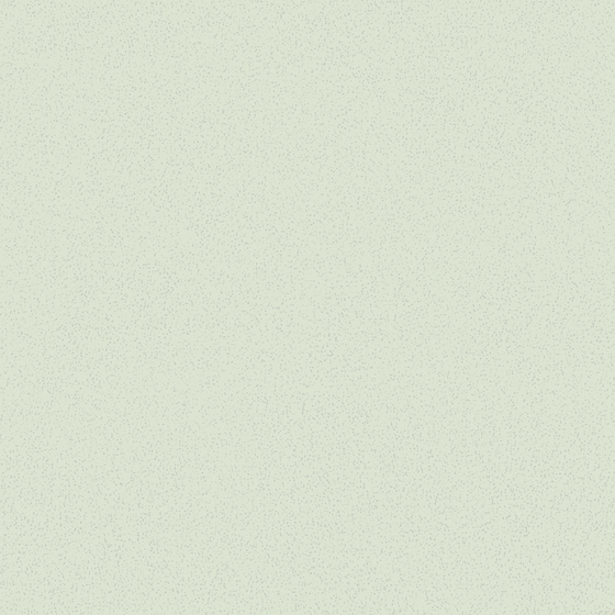 Wood Color Wall Paint for Natural Aesthetics