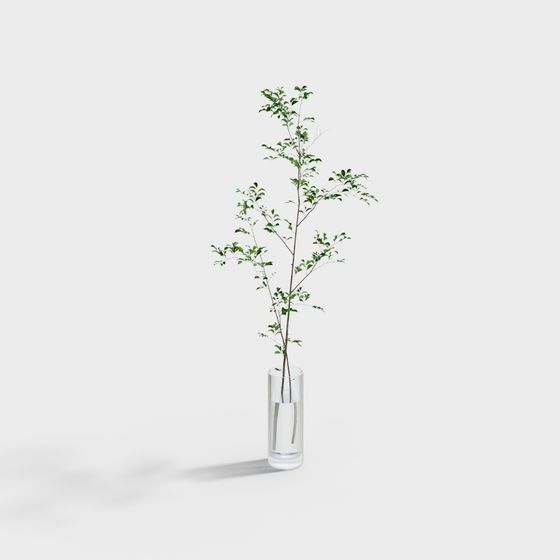 Lively Green Seedling in Glass Vase 3D model