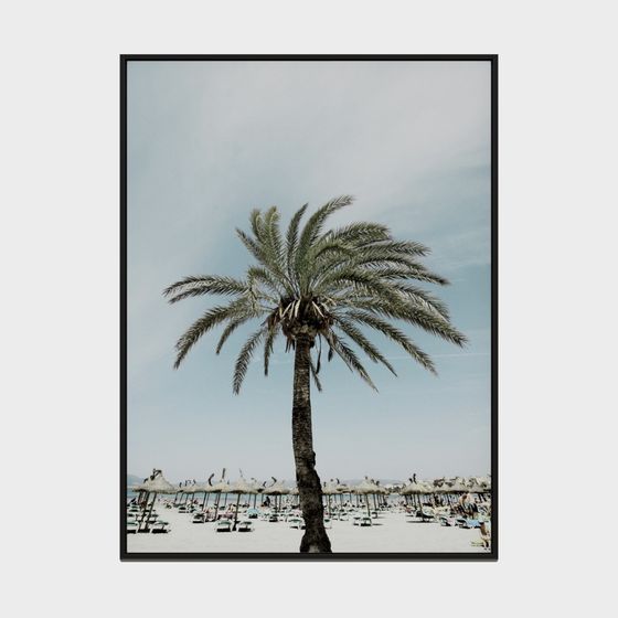 Tropical Palm Tree 3D model for Creative Projects