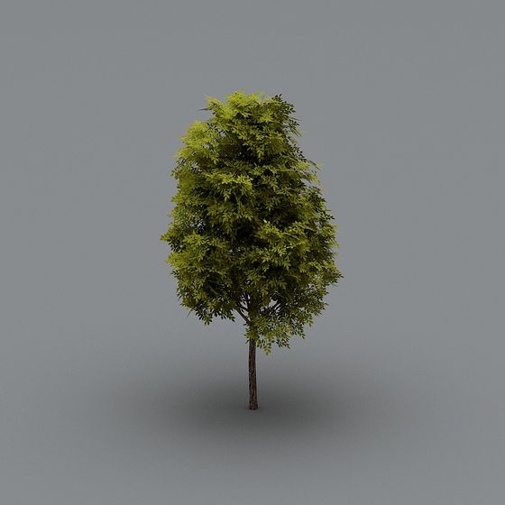 Green leafy garden tree with brown trunk on grey background
