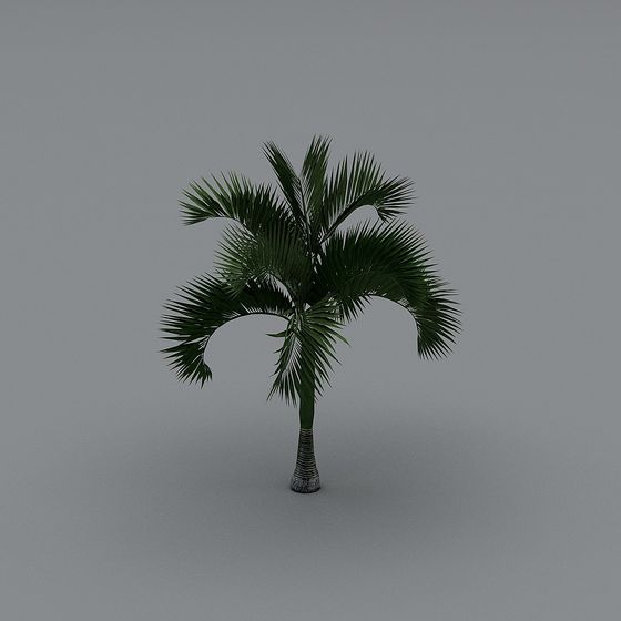 Realistic Palm Tree 3D model