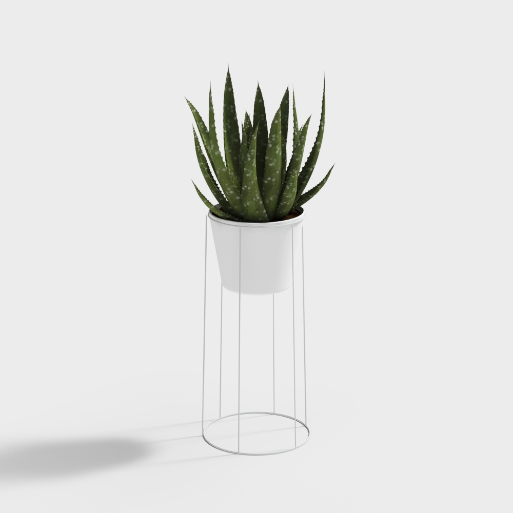 Aloe Vera Potted Plant-wx